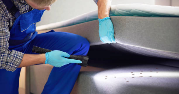 Pest Prevention Services in Irwin, PA