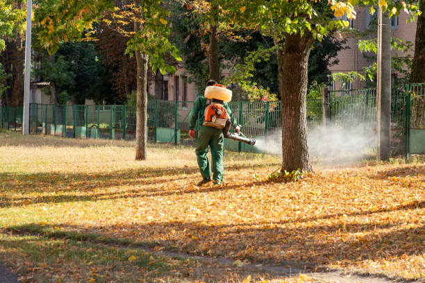 Best Best Pest Control Companies  in Irwin, PA