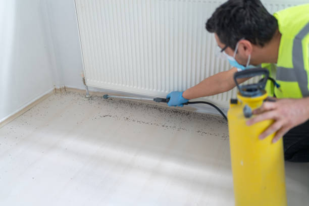 Best Best Pest Control Companies  in Irwin, PA